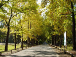 信州大学農学部 信州大学農学部