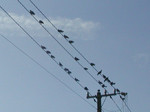 集合 集合