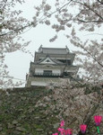大洲城 大洲城