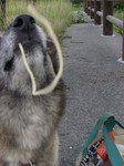 スパゲッティはこうやって食べるのだ スパゲッティはこうやって食べるのだ