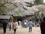 高縄寺春祭り 高縄寺春祭り