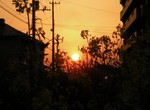 菜の花と夕日 菜の花と夕日
