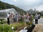 花を見ながら勉強 花を見ながら勉強