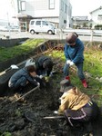 レンコン堀は大変 レンコン堀は大変