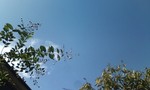 台風一過 台風一過