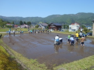 koshiji2018-05-11 koshiji2018-05-11