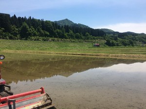 koshiji2018-05-21 koshiji2018-05-21