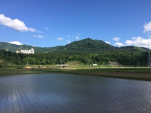 koshiji2018-05-24 koshiji2018-05-24