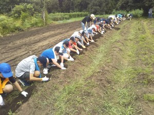koshiji2018-08-16 koshiji2018-08-16
