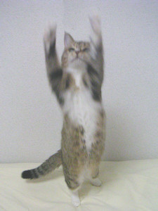 kuniaoi2005-07-22 kuniaoi2005-07-22