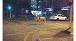 m-ijyuin2017-04-17 m-ijyuin2017-04-17