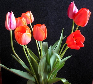 ¤³¤ì¤Ç¤ª¤·¤Þ¤¤¡© ¤³¤ì¤Ç¤ª¤·¤Þ¤¤¡©