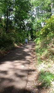 散歩道 散歩道
