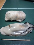 marudai-oyster2011-02-18 marudai-oyster2011-02-18
