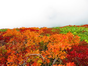 metoo7s2015-10-05 metoo7s2015-10-05