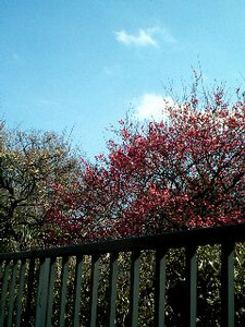 mmooh2005-02-09 mmooh2005-02-09