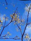 mmooh2006-02-05 mmooh2006-02-05