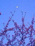 mmooh2006-04-07 mmooh2006-04-07