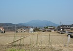 mnumeda2017-03-19 mnumeda2017-03-19
