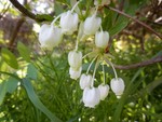 mnumeda2018-04-19 mnumeda2018-04-19