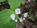 mnumeda2018-04-21 mnumeda2018-04-21