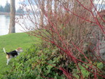 mosshaven2014-12-14 mosshaven2014-12-14