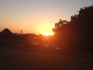 murakoujin2018-06-17 murakoujin2018-06-17