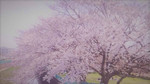 nanapapa-hiro2017-04-11 nanapapa-hiro2017-04-11