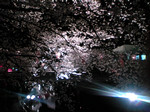 nohmin2006-04-05 nohmin2006-04-05