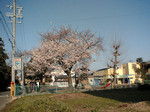 nohmin2006-04-06 nohmin2006-04-06