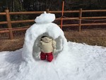 nohmin2017-02-14 nohmin2017-02-14