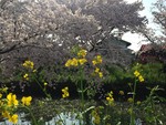 nohmin2017-04-09 nohmin2017-04-09