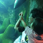 nohmin2017-07-12 nohmin2017-07-12