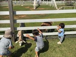 nohmin2017-09-03 nohmin2017-09-03
