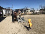 nohmin2017-11-12 nohmin2017-11-12