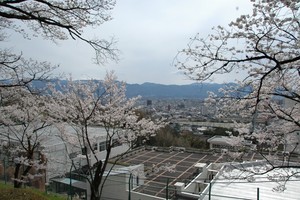 nonaka122008-03-29 nonaka122008-03-29