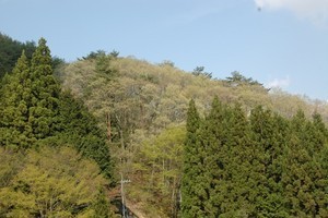 nonaka122008-04-27 nonaka122008-04-27
