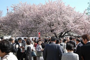 nonaka122014-04-12 nonaka122014-04-12