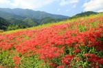 noririn_06102017-09-26 noririn_06102017-09-26
