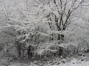 nunon2018-01-22 nunon2018-01-22