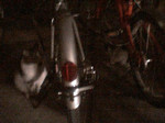 nyah2004-12-01 nyah2004-12-01