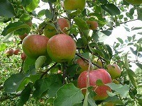 oyu-9922017-11-07 oyu-9922017-11-07