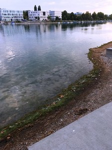 水位が下がったライン川 水位が下がったライン川