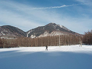 pekopon0012007-02-05 pekopon0012007-02-05