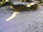 pocket-002005-02-02 pocket-002005-02-02