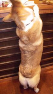 悪戯ポ〜ズ^^; 悪戯ポ〜ズ^^;