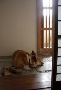 君は何を思うのか・・・? 君は何を思うのか・・・?