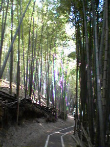 poreporekyonta2005-07-07 poreporekyonta2005-07-07