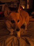 ビュービュー怖いでし〜 ビュービュー怖いでし〜