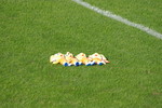 pure-ri-dog2011-10-25 pure-ri-dog2011-10-25